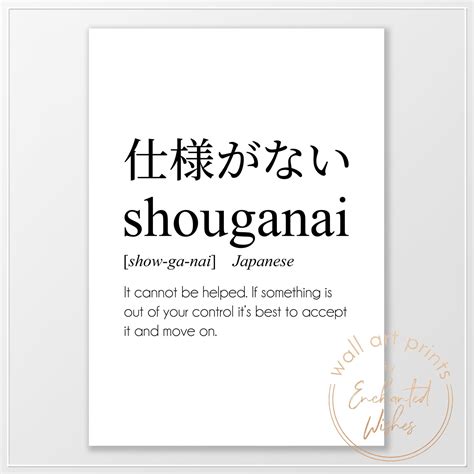 shoganai significado|Use and Meaning of Shouganai(しょうがない) in。